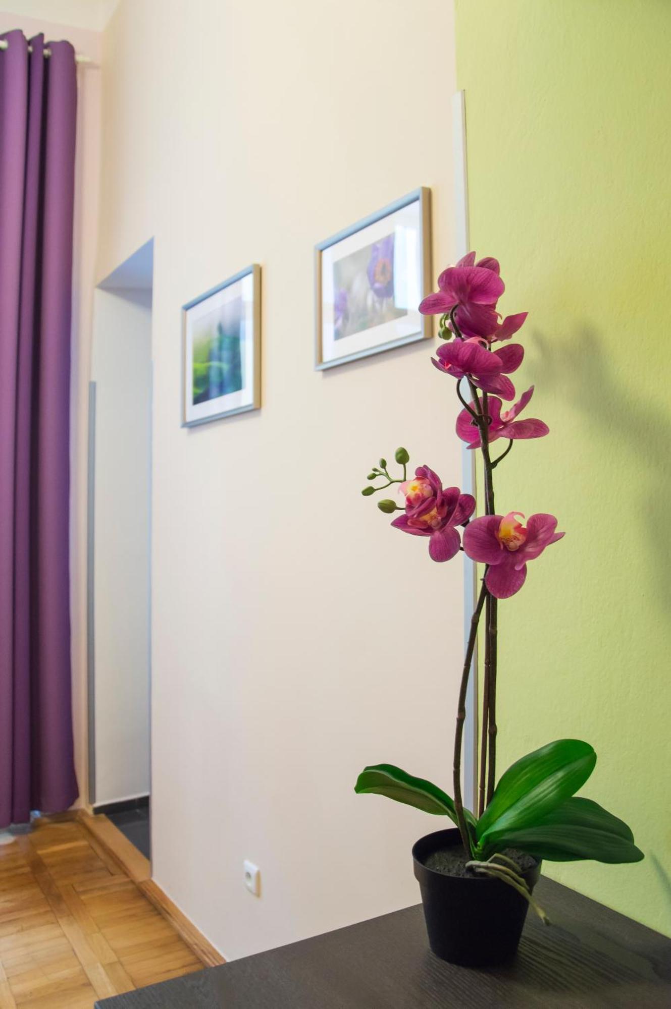 Apartmán Jindrisska 25
